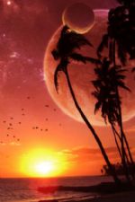 Click To View This Image