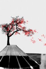 Click To View This Image