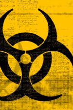 Click To View This Image