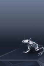 Click To View This Image