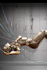 Click To View This Image