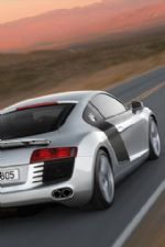 Click To View This Image