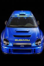 Click To View This Image