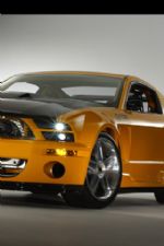 Click To View This Image