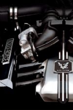 Click To View This Image