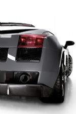 Click To View This Image