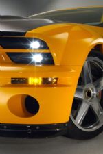 Click To View This Image