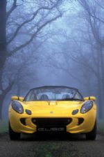 Click To View This Image