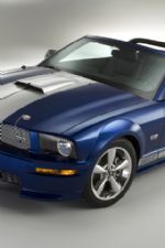 Click To View This Image