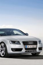 Click To View This Image