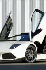 Click To View This Image