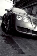 Click To View This Image