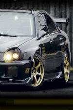 Click To View This Image