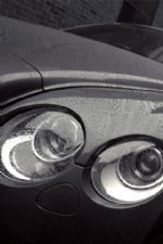 Click To View This Image