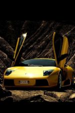 Click To View This Image