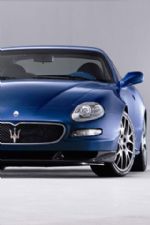 Click To View This Image