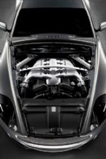 Click To View This Image