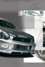 Click To View This Image