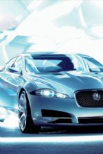 Click To View This Image