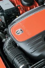 Click To View This Image