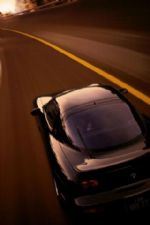 Click To View This Image