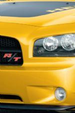 Click To View This Image