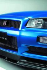 Click To View This Image