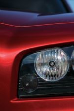 Click To View This Image