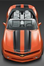 Click To View This Image