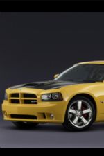 Click To View This Image