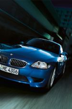 Click To View This Image