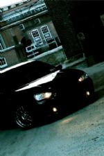 Click To View This Image