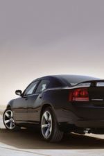 Click To View This Image