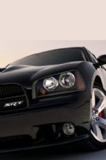 Click To View This Image