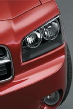 Click To View This Image