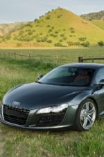 Click To View This Image