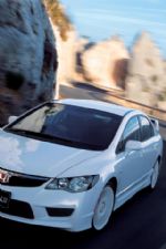 Click To View This Image