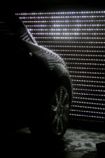 Click To View This Image