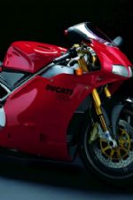 Click To View This Image