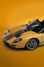 Click To View This Image