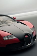 Click To View This Image