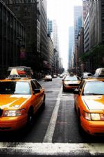 Click To View This Image