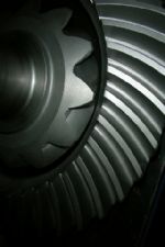 Click To View This Image