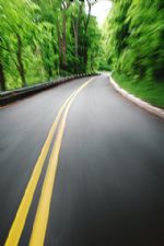 Click To View This Image