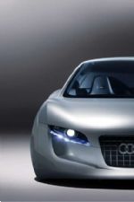 Click To View This Image