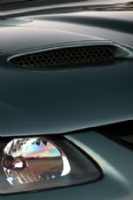 Click To View This Image