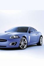 Click To View This Image