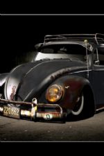 Click To View This Image