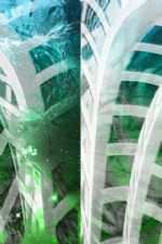 Click To View This Image