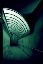 Click To View This Image